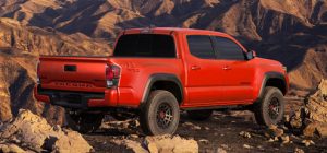 Toyota Tacoma rear tailgate